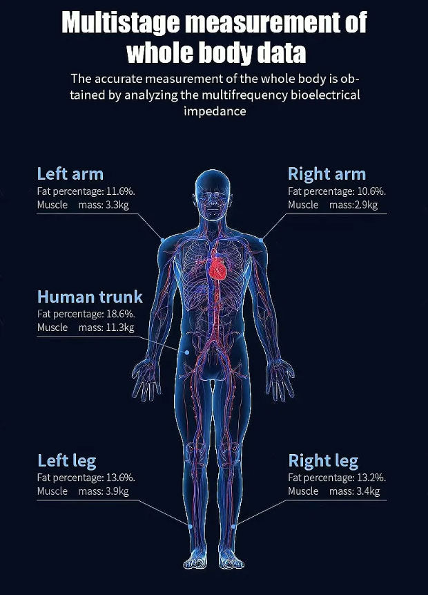 3D Body Composition Analyzer Scanner Device Health Digital Analysis Body Analyzer Machine
